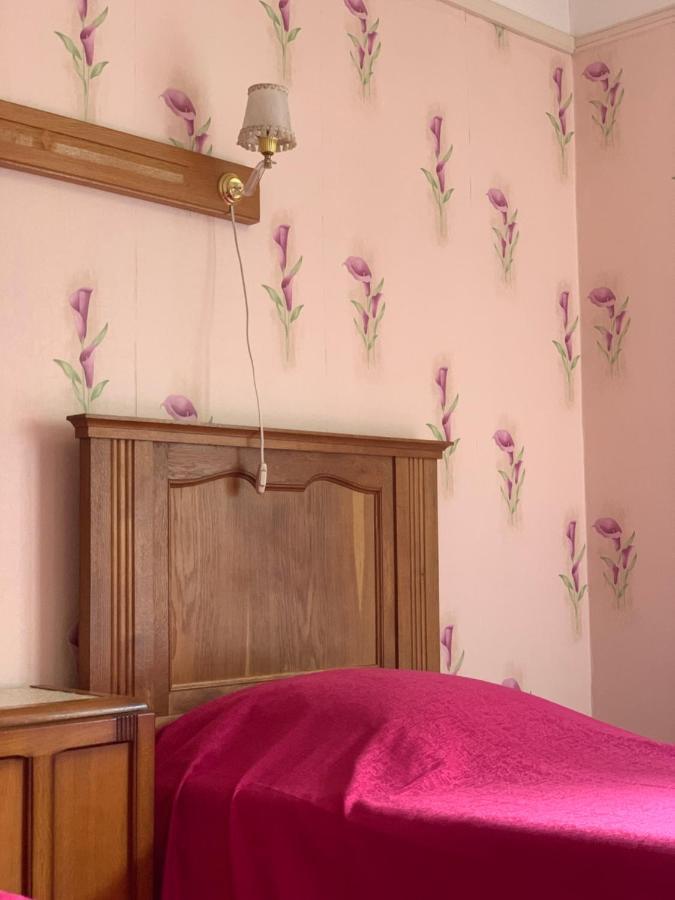 Hotel Restaurant D'Alsace Plombières-les-Bains Kültér fotó
